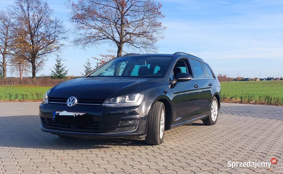 Vw Golf VIi Pniewy