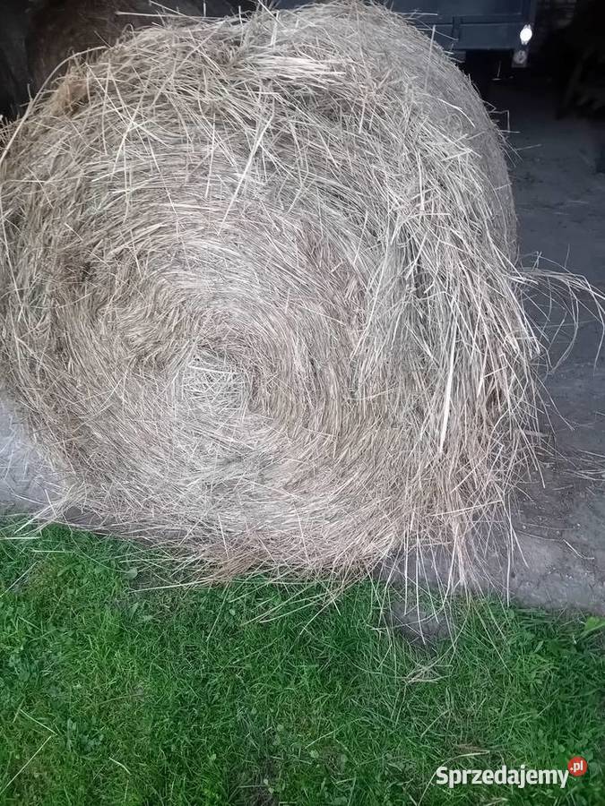 Sprzedam siano