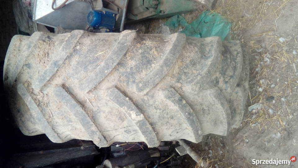 Massey ferguson 3630 Wielgomłyny