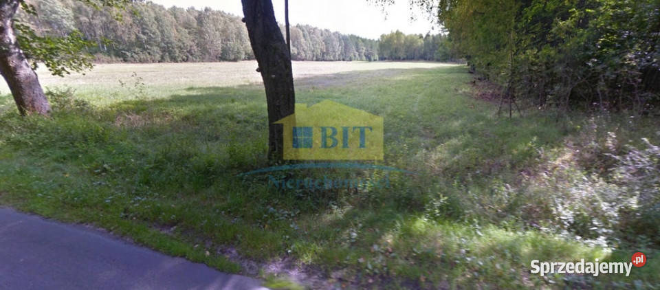 Działka rolna 342 ha ładne położenie Stare Gonne sprzedam