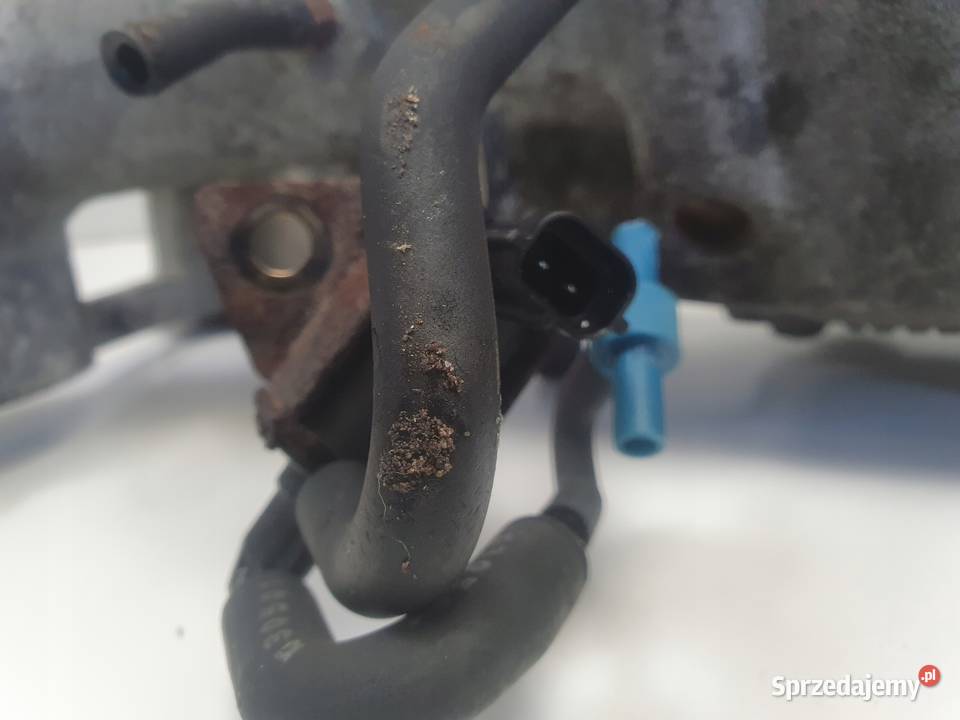 Subaru Forester II 20 T KOLEKTOR SSĄCY Chełm