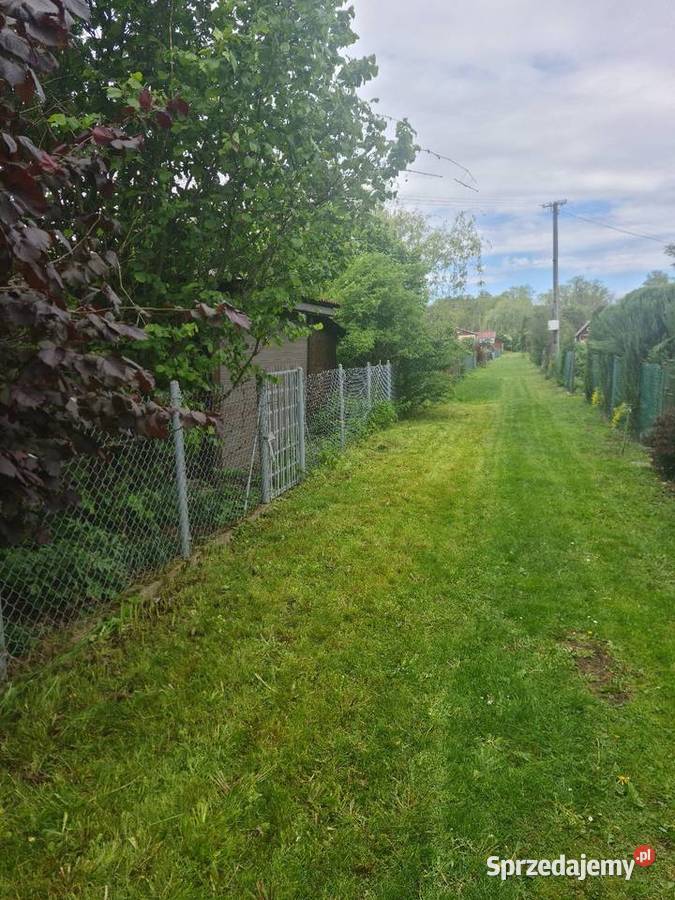 Działka ROD im J Kilińskiego w Staszowie 23m Staszów