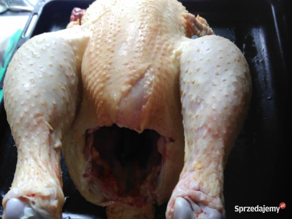 Sprzedam tuszki kurczak brojler a także żywe Słupca