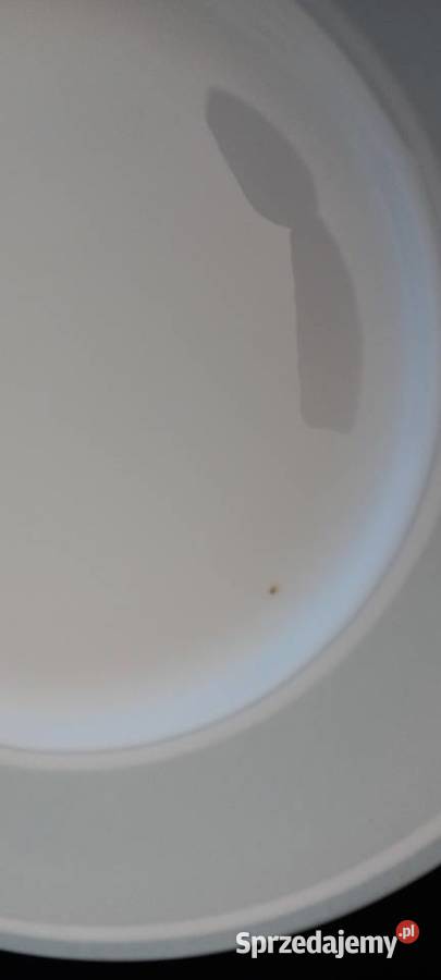 Talerz Villeroyboch Rondo Chełm