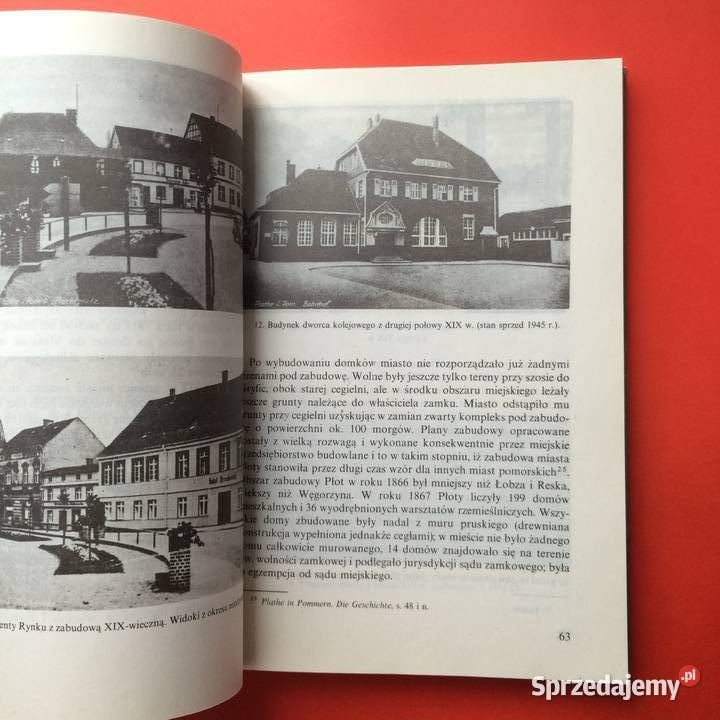 2196 Płoty sprzedam