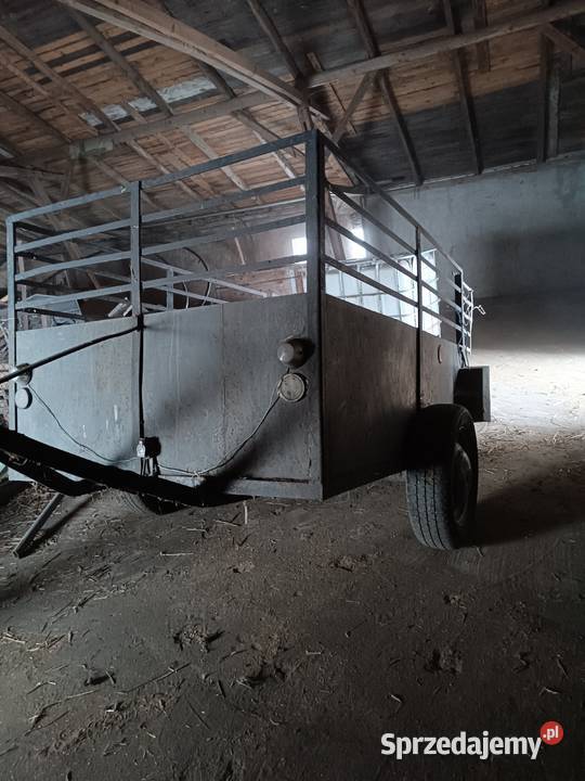 Wózek do przewozu zwierząt kołówka bryczka Tykadłów