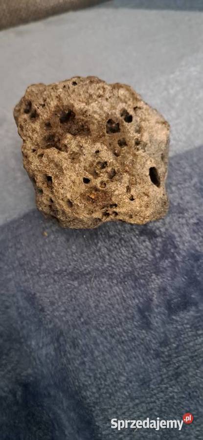 Meteoryt Pozostałe Niepoględzie