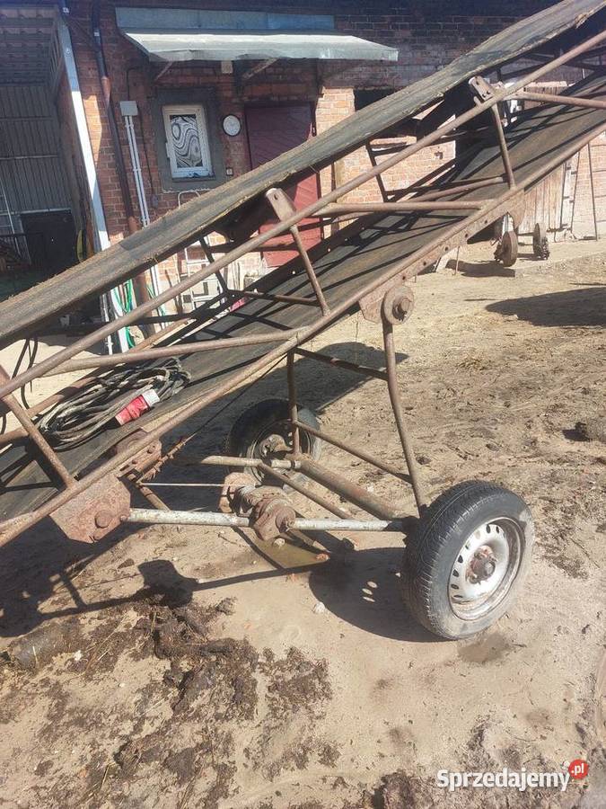 Taśmociąg nieuszkodzony Markowola