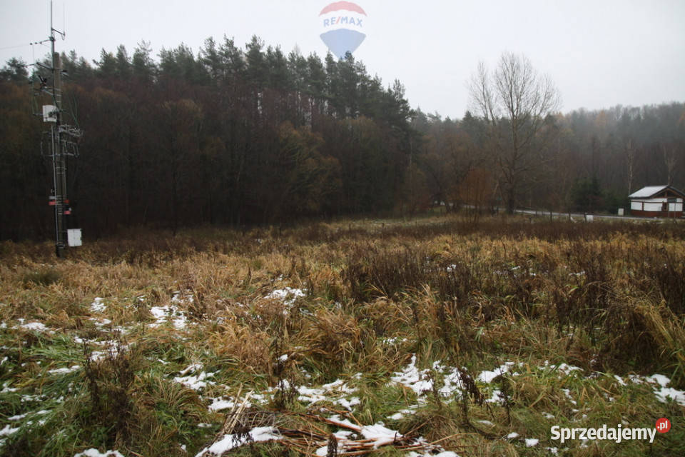 Działki budowlane w DrzewiniegmTrąbki Wielkie Sprzedaż Drzewina