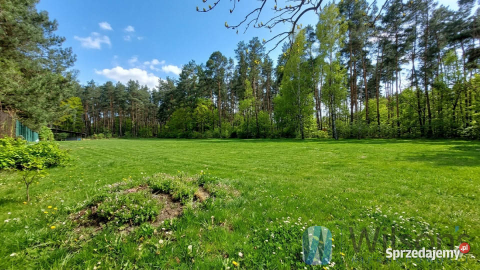 Sprzedaż działki Wiązowna 9130m2