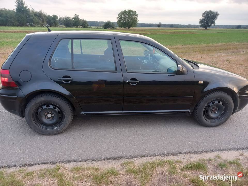 Sprzedam Golfa 4 16Sr 101KM mazowieckie Kałków