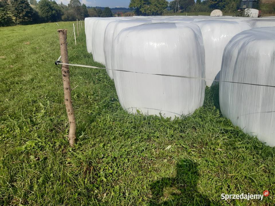 Bele Sianokiszonka siano krowy konie Ustrzyki Dolne