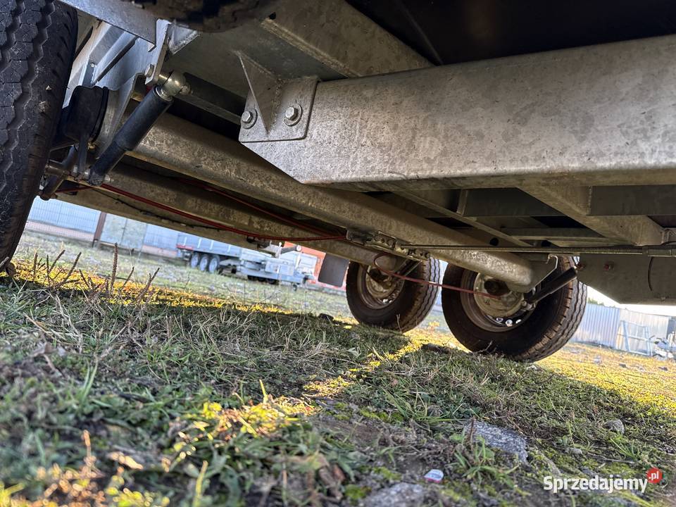 Przyczepa minikoparka BORO NIEWIADÓW 3500DMC 2750kg Piła