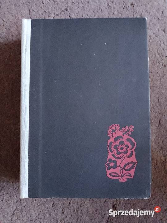 Kufer Kasyldy Rzeszów