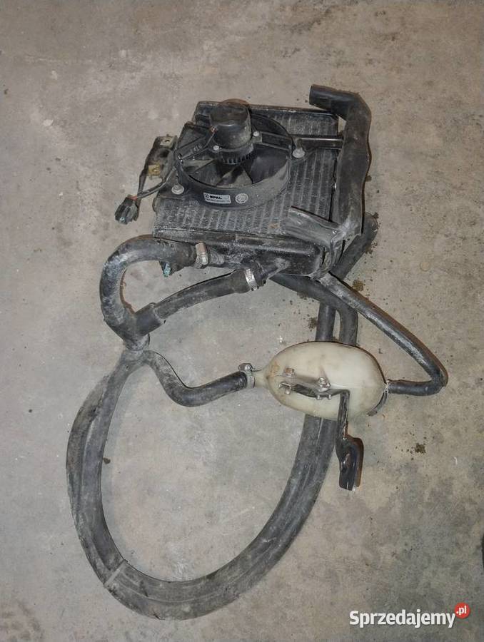 Aprilia Leonardo Pozostałe Łazy