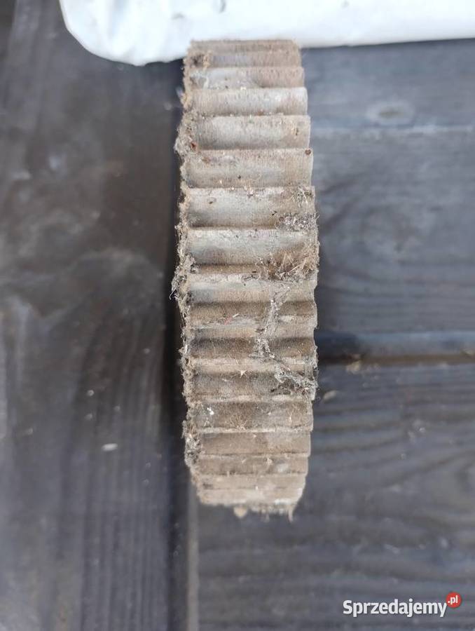 Koło zębate śląskie Kamienica Polska sprzedam