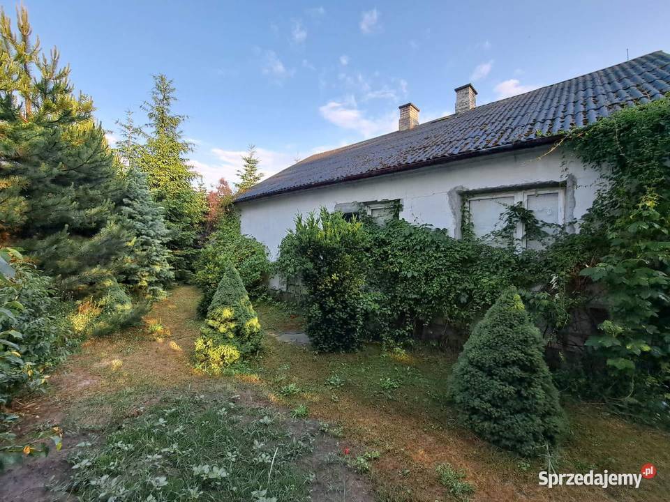 ZIELONY RAJ DOM Z LASEM I OGRODEM Liczba pokoi 2 Brzeźce