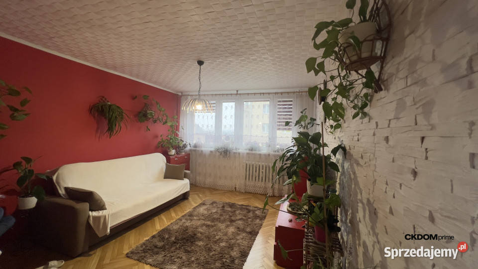3 pokoje 51m2 Staszów Wschodnia jasne mieszkanie