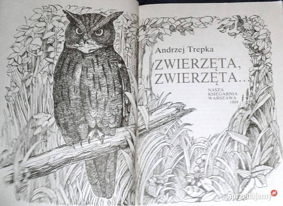 Zwierzęta zwierzęta Andrzej Trepka Chełm
