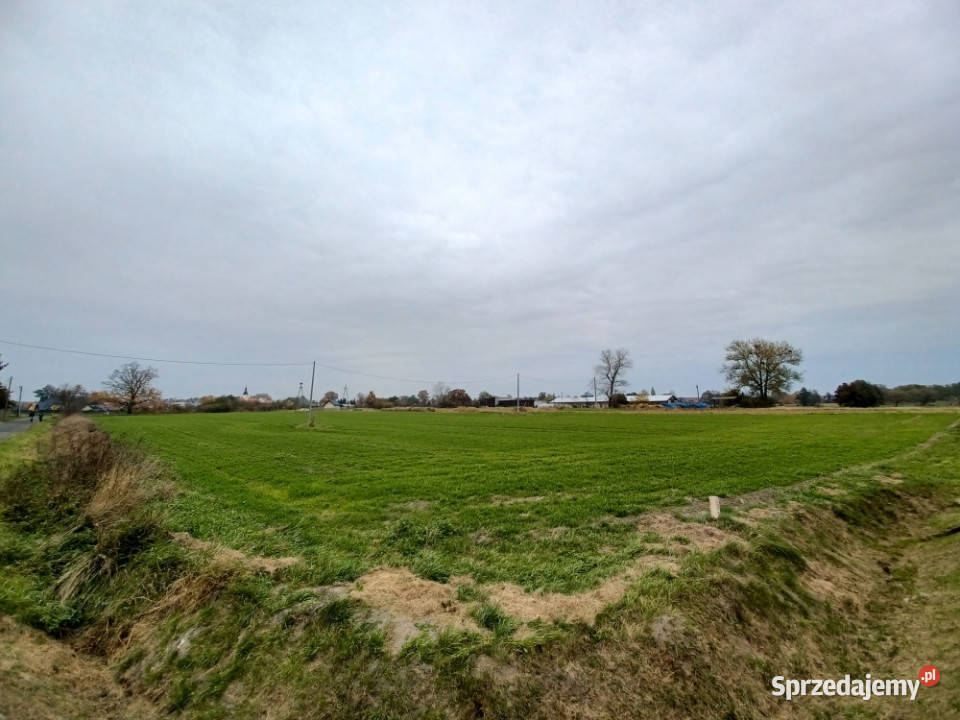 Babimost DZIAŁKI BUDOWLANE z aktualnymi Sprzedaż