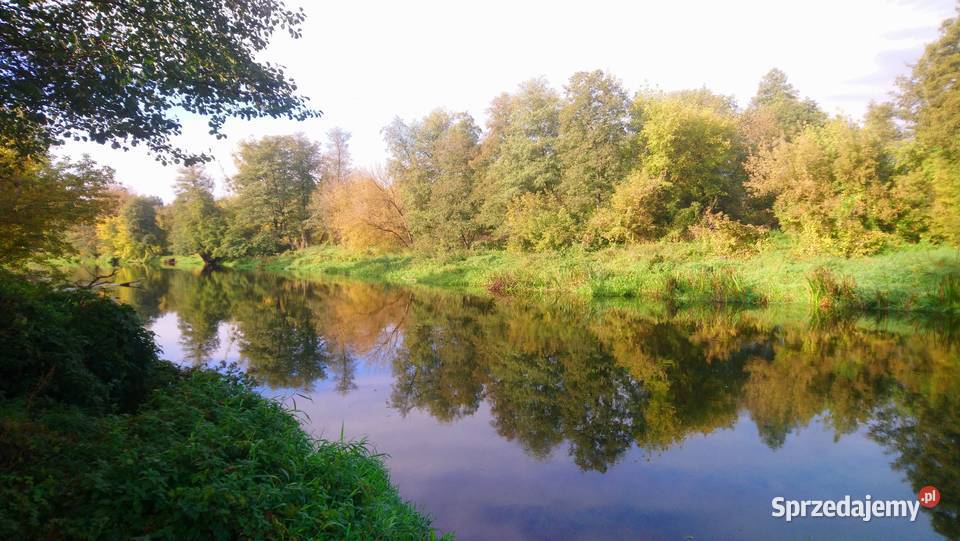 Sprzedam działkę 4828m2 Wkrą z prawem zabudowy Popielżyn-Zawady sprzedam