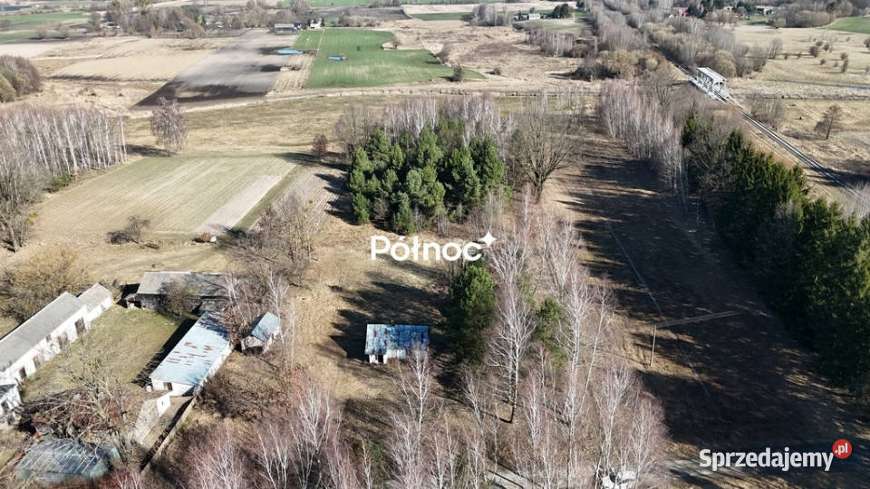 Siedlisko z lasem Ruda Kolonia 5min d0 Liczba pokoi 1 Ruda-Kolonia sprzedam