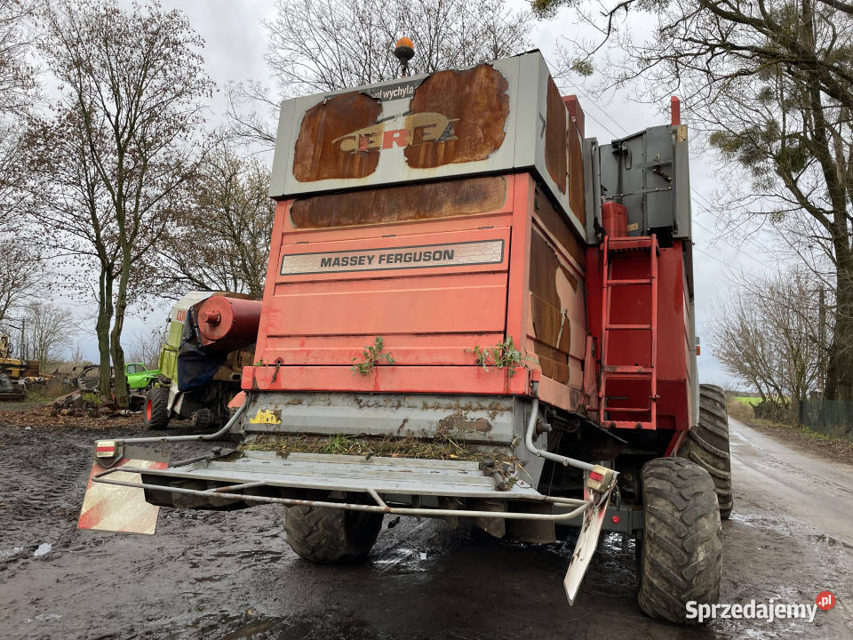 Massey Fergusson Cerea 7272 7274 7256 7252 koło wielkopolskie
