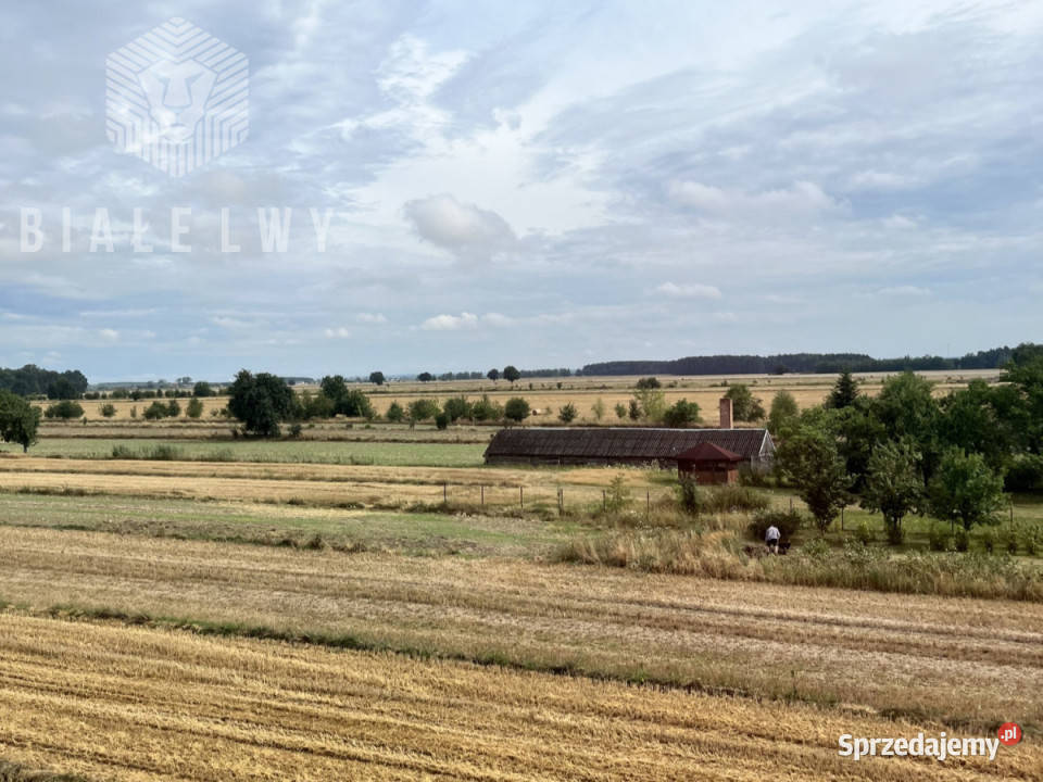 Lokal Przesiadłów 1000m2