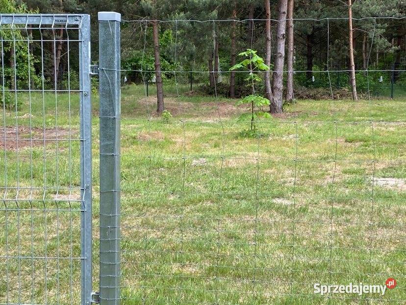 Wyjątkowa działka warunki zabw oazie Samogoszcz