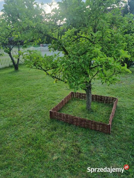 Palisada wiklinowa ogrodowa Płotki obrzeże podkarpackie Groble