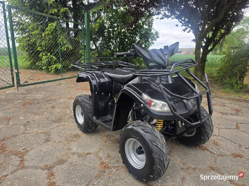 Quad BMW 2018 Model 125cc z biegiem wstecznym kujawsko-pomorskie Kruszwica