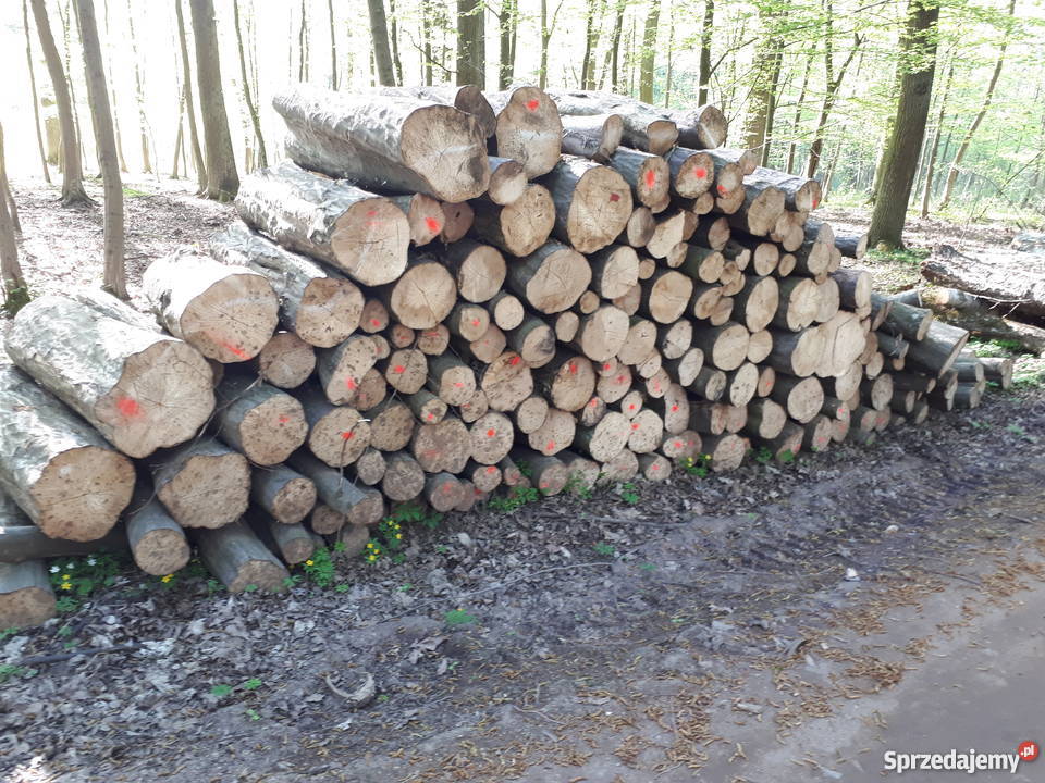 Drewno kominkowe Luboń