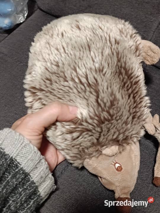 rodzina jeży pluszowa zabawka maskotka pluszak wielkopolskie Poznań