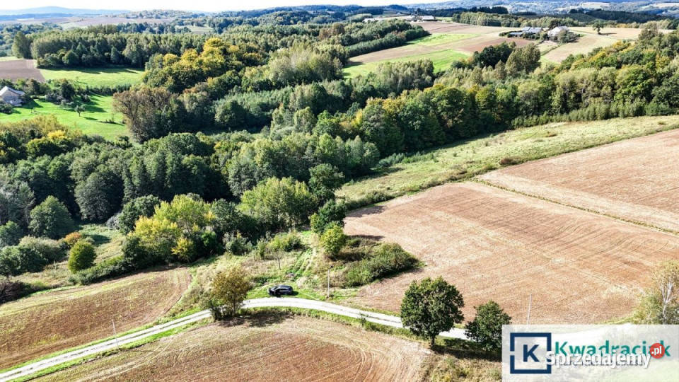 Grunt Brzeziny 1250m2 Nieruchomości