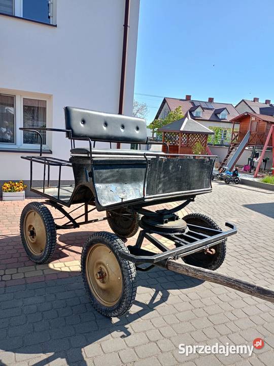 Bryczka Lipce Reymontowskie