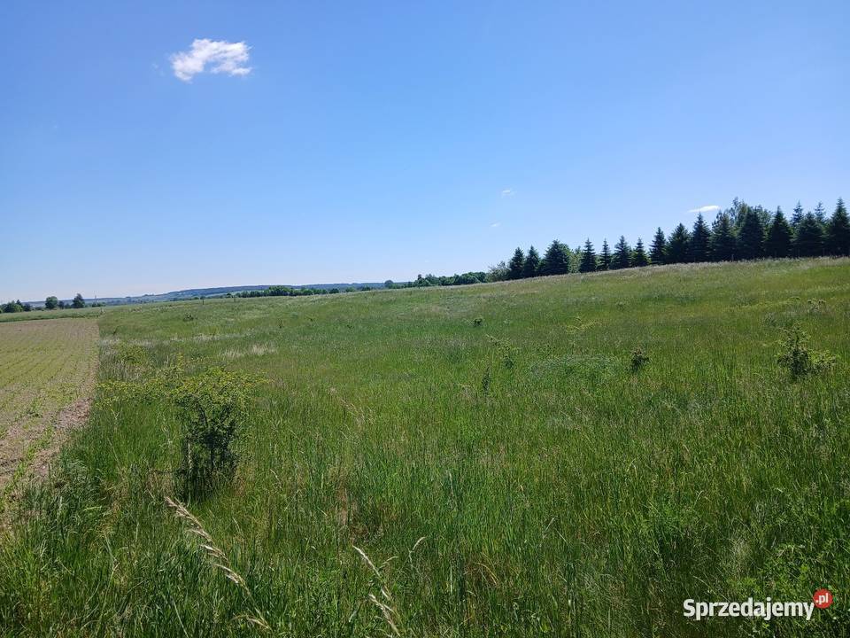 Działka budowlana 73a Krzywowola gm Rejowiec lubelskie