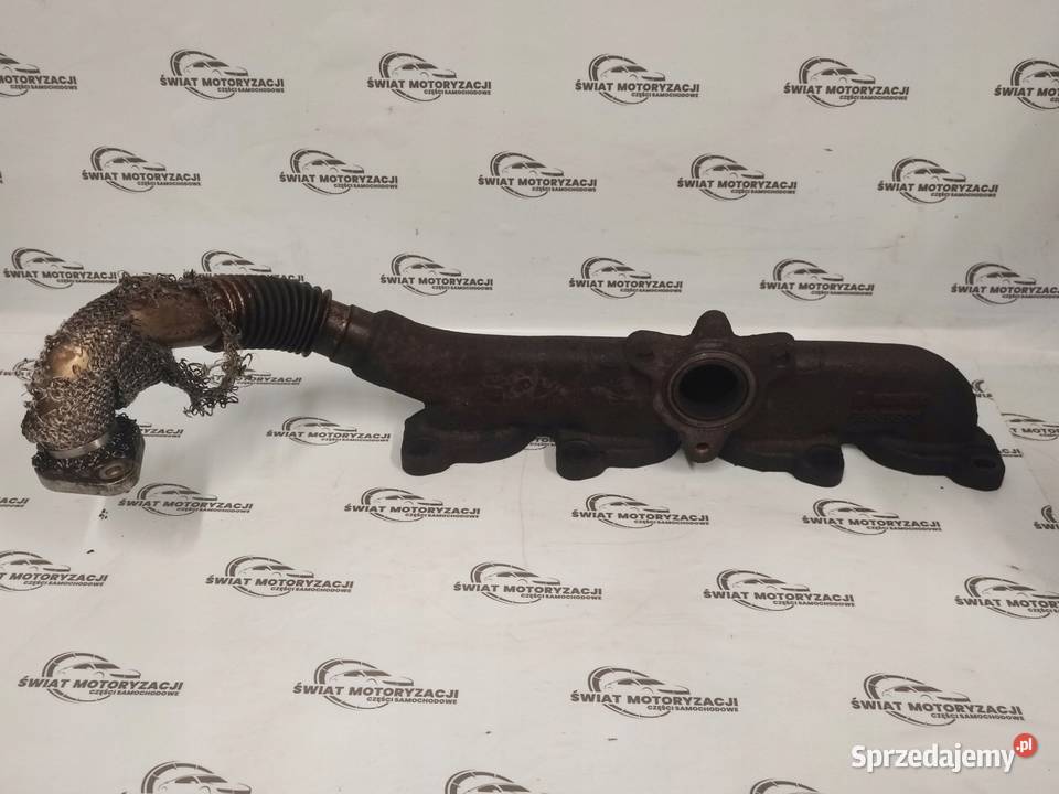 INSIGNIA ASTRA 16 CDTI LVL B16DTH 136 kolektor świętokrzyskie Kielce