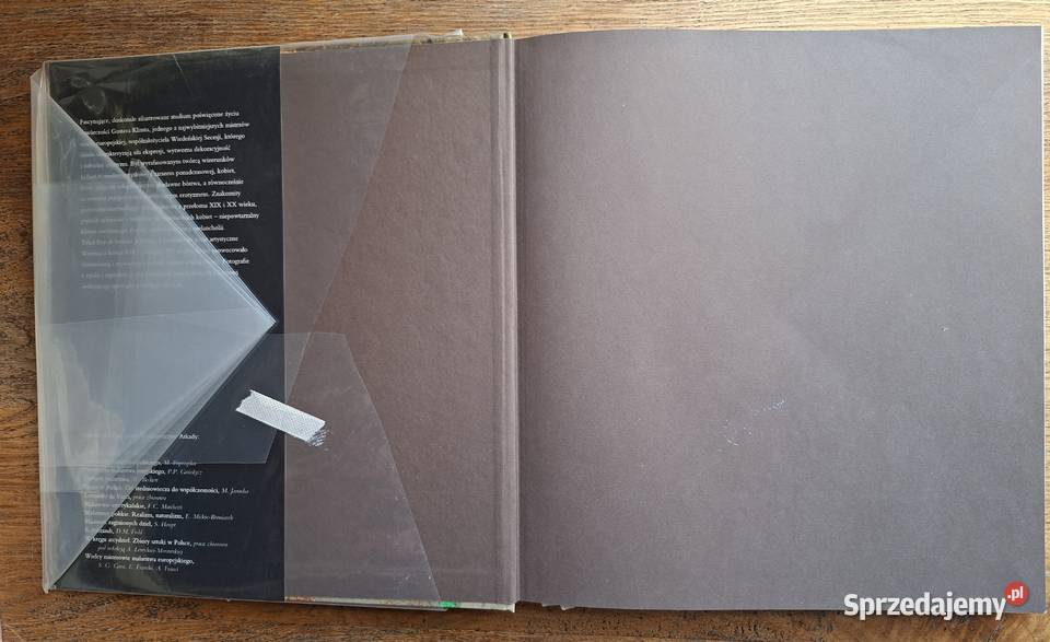 Gustav Klimt Eva di Stetano Arkady Kraków