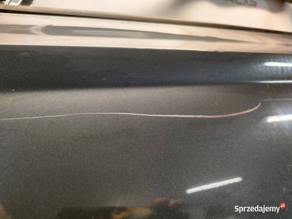 Drzwi Lewy Przód Lewe Przednie Skoda Fabia III Pleszew