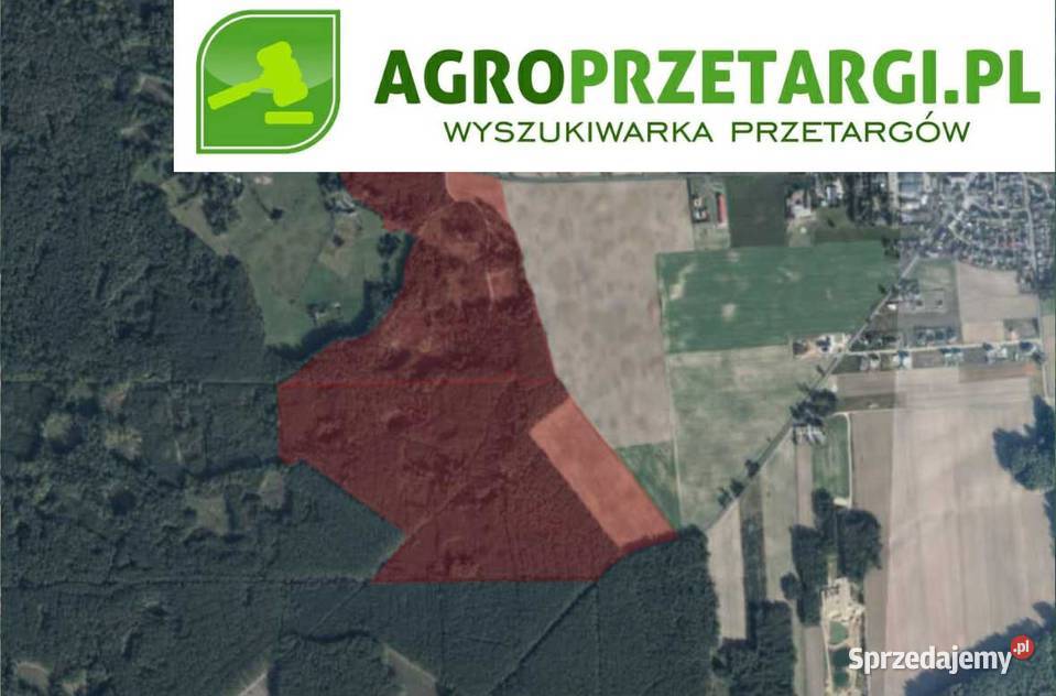 Dzierżawa 2141 ha gruntu rolnego Nowy Tomyśl