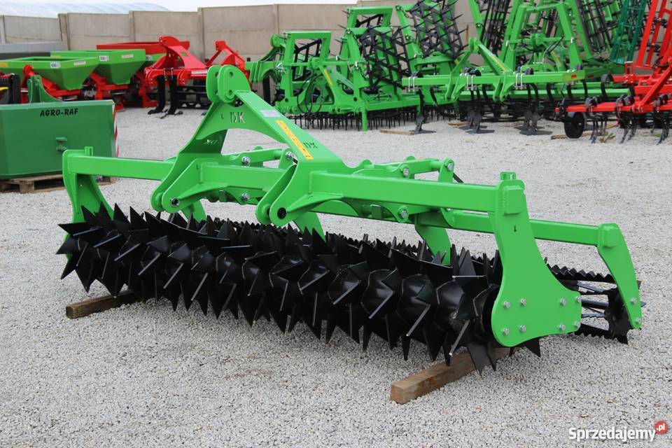 Wał strunowy podwójny Dziekan Lew zębaty falisty Rogóźno