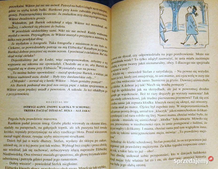 Tajemnica zielonej pieczęci Hanna Ożogowska Chełm