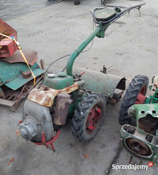 Glegogryzarki Agria pakiet 5 Grabów nad Prosną