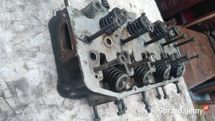 Polonez Borewicz glowica 1500