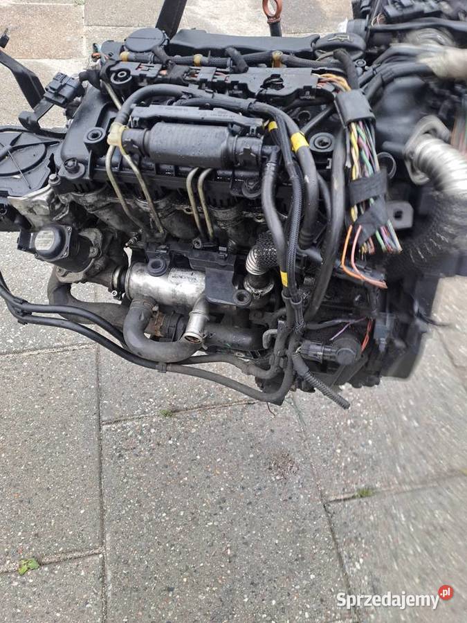 Citroen Peugeot 16 HDi 109 silnik kompletny kod Jastrzębie-Zdrój sprzedam