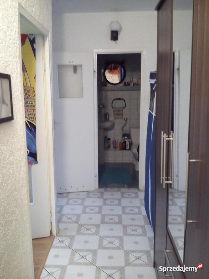 mieszkanie 43m2 Gniechowice