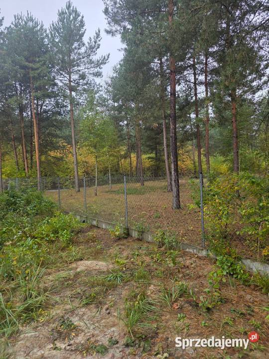 Działka budowlana Włodzimierzów