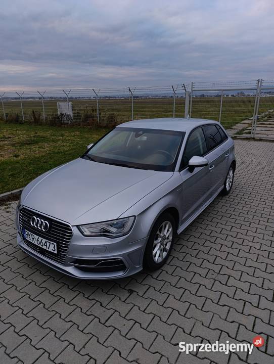 Audi a3 etron hybryda 14 tsi 204 126000km podkarpackie Świerzowa Polska sprzedam