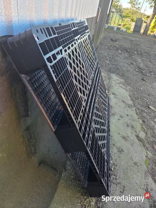 Palety plastikowe Borzytuchom sprzedam