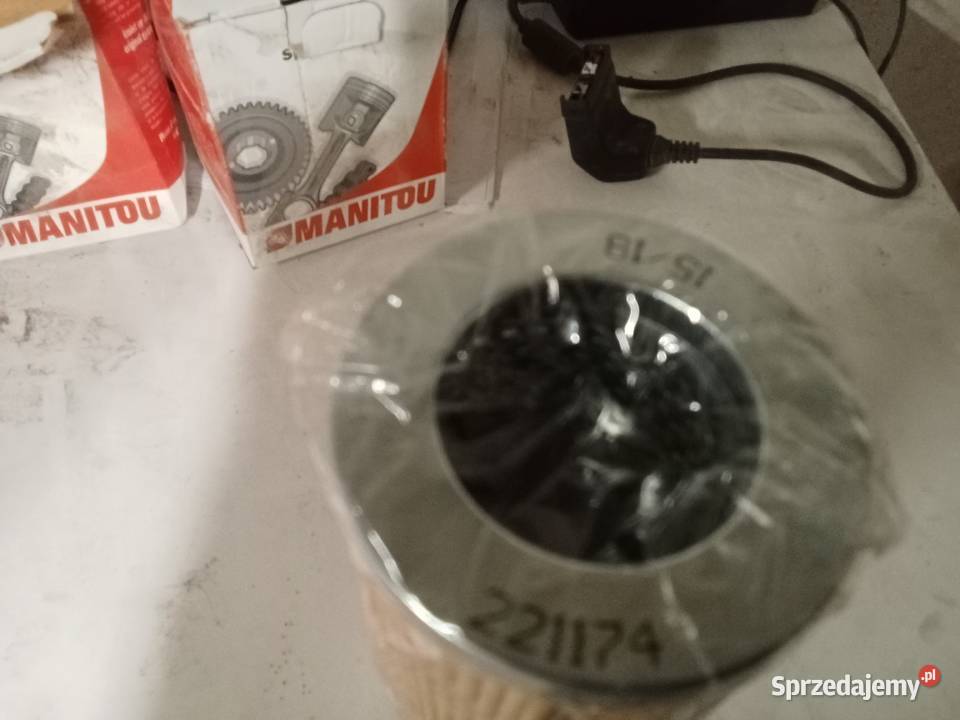 Filtr oleju hydraulicznego 221174 Oleju Rudno